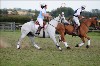 UKPA  NC Sat_1408